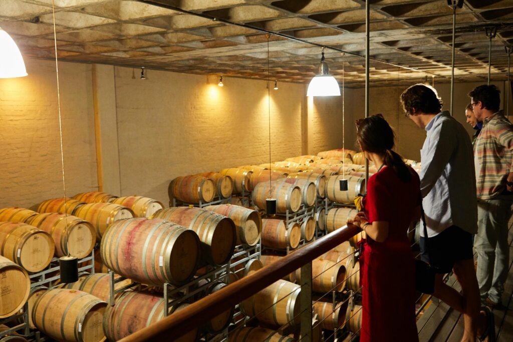 Group of people observing wine barrels in an indoor winery setting.